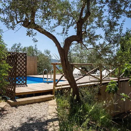 Tatil Evi Il Sogno Di Lorna *